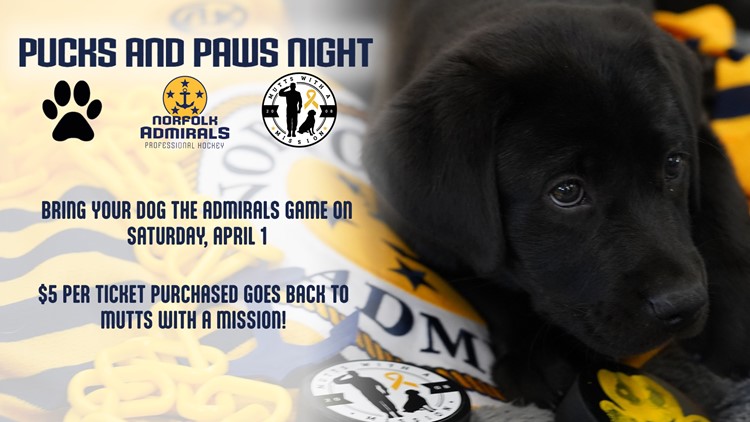 Bring your pup to a Norfolk Admirals game for a cause through 'Pucks and Paws' April 1