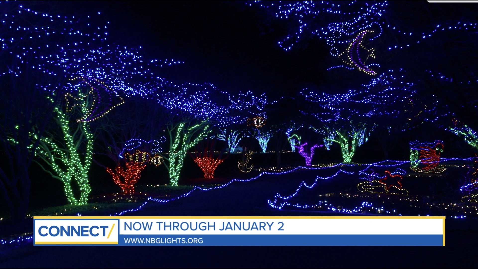 The Dominion Energy Garden of Lights is pulling all the stops for 2020! The display is open until January 2. You have to purchase tickets before you visit.