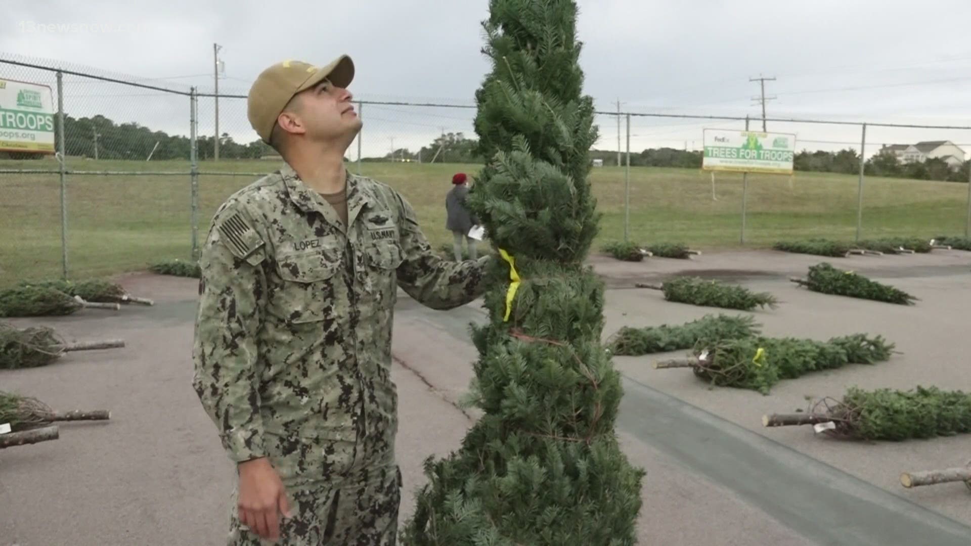 Hundreds of military families in Hampton Roads got a little holiday cheer. They got free Christmas trees, thanks to the 13th annual "Trees for Troops" giveaway.