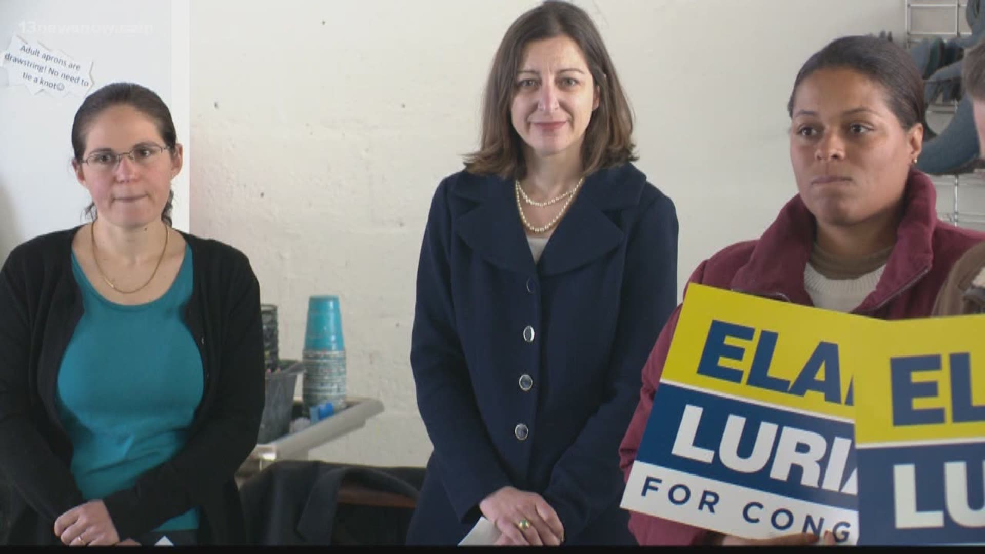 Elaine Luria, a retired Navy commander and small business owner, announced she would run to represent Virginia's Second Congressional District.