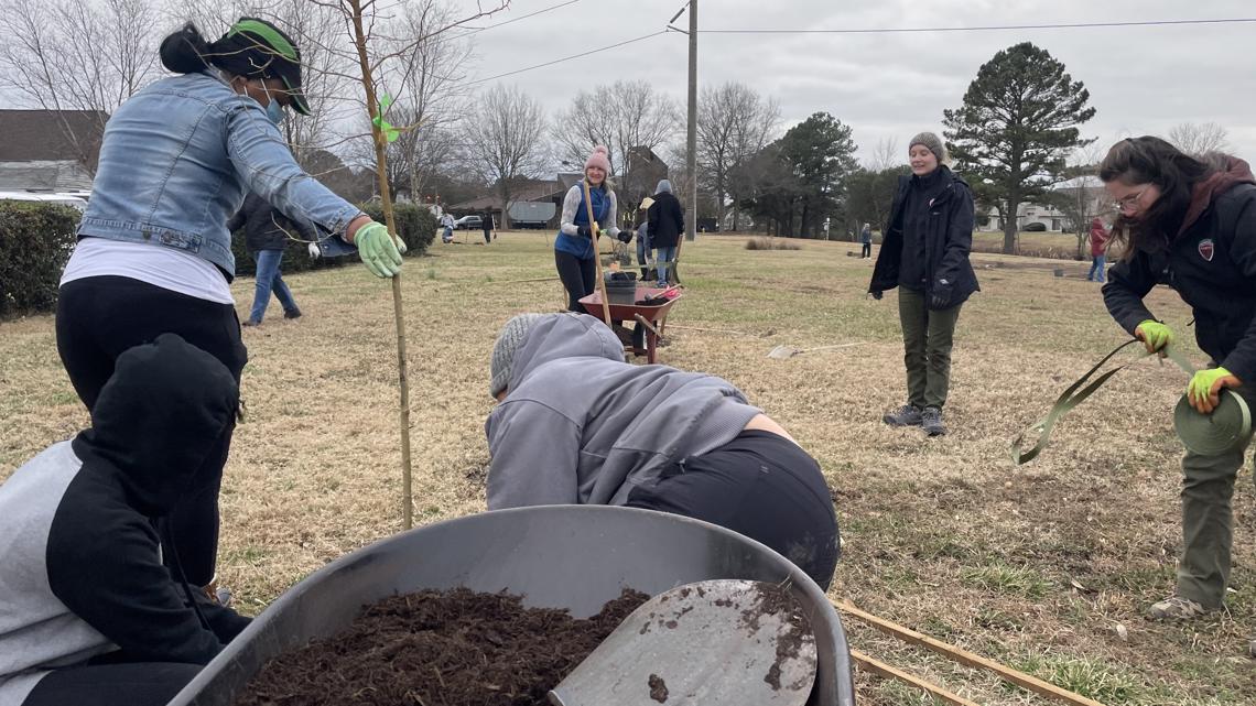 Volunteers plant trees at future home for trafficked youth - Vimarsana News