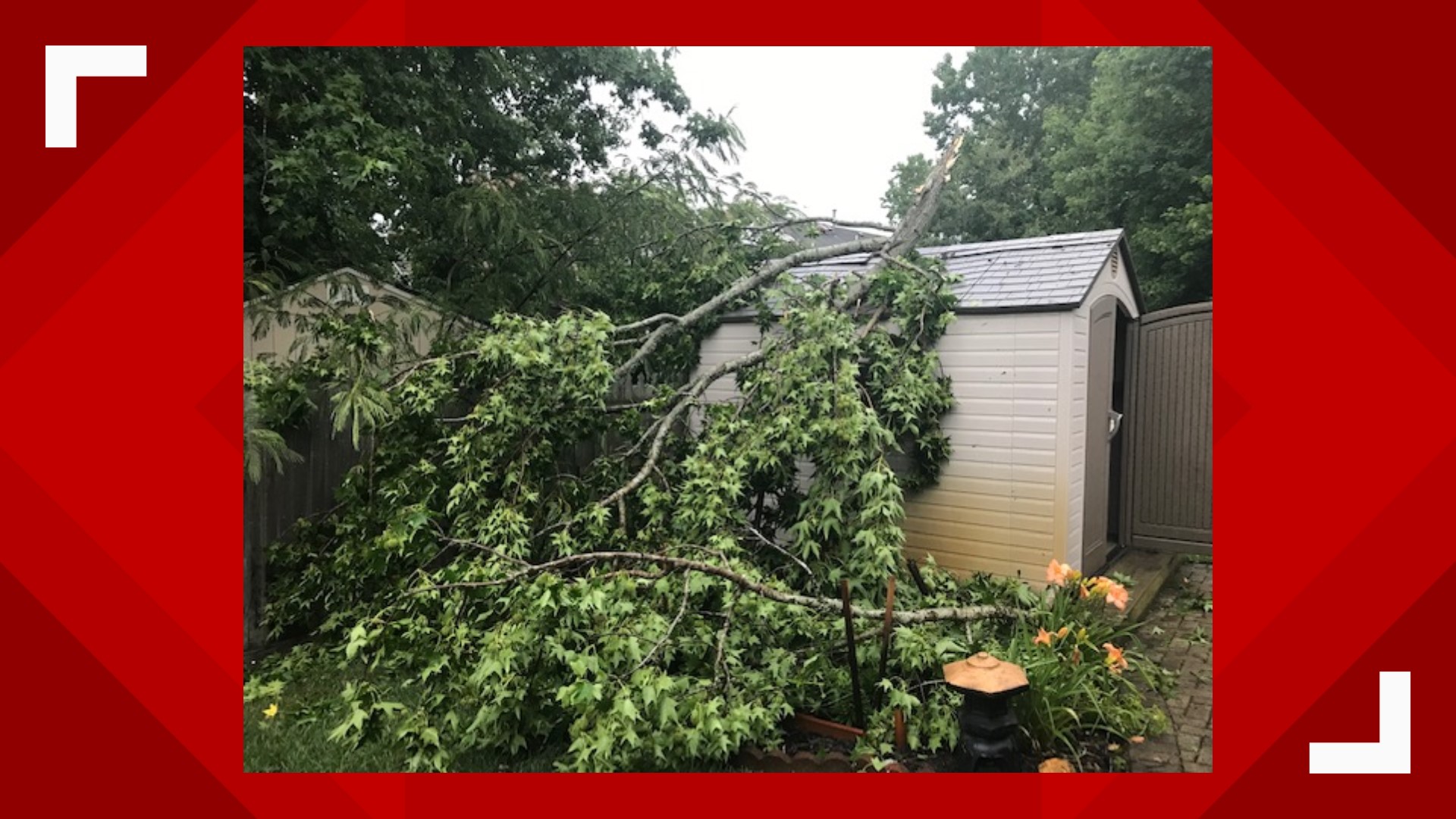 Quick-moving storms bring down trees, knock out power to thousands in ...