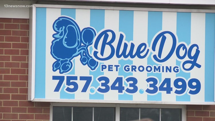 Pet groomers accused of mistreating animals in Virginia Beach