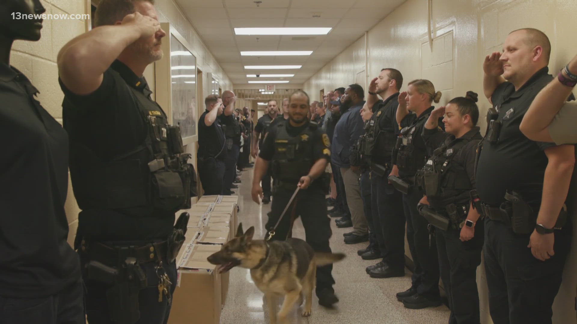 Since 2019, Gaston has completed more than 1,600 safety searches across Hampton Roads, his handler tells 13News Now.