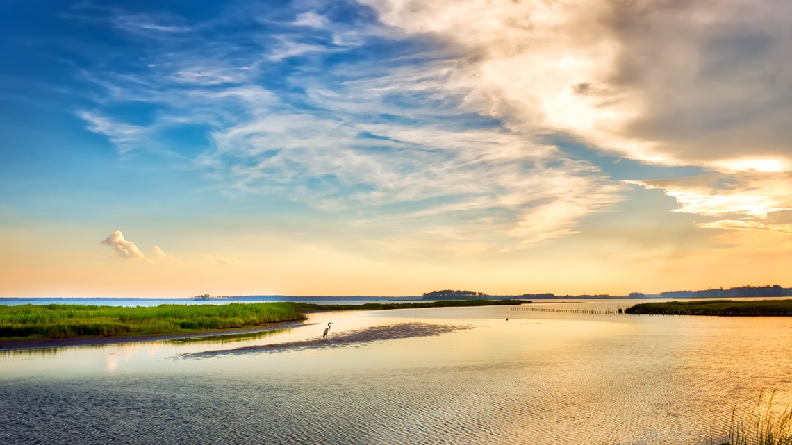 Chesapeake Bay's underwater grasses slightly increased in 2021 - Vimarsana News