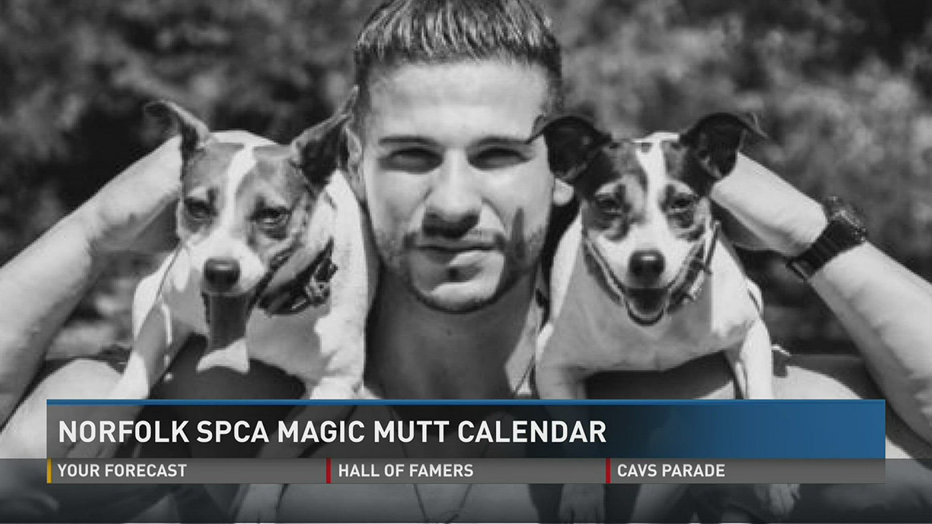 SPCA seeks 'Hampton Roads Hunks' for Magic Mutt calendar