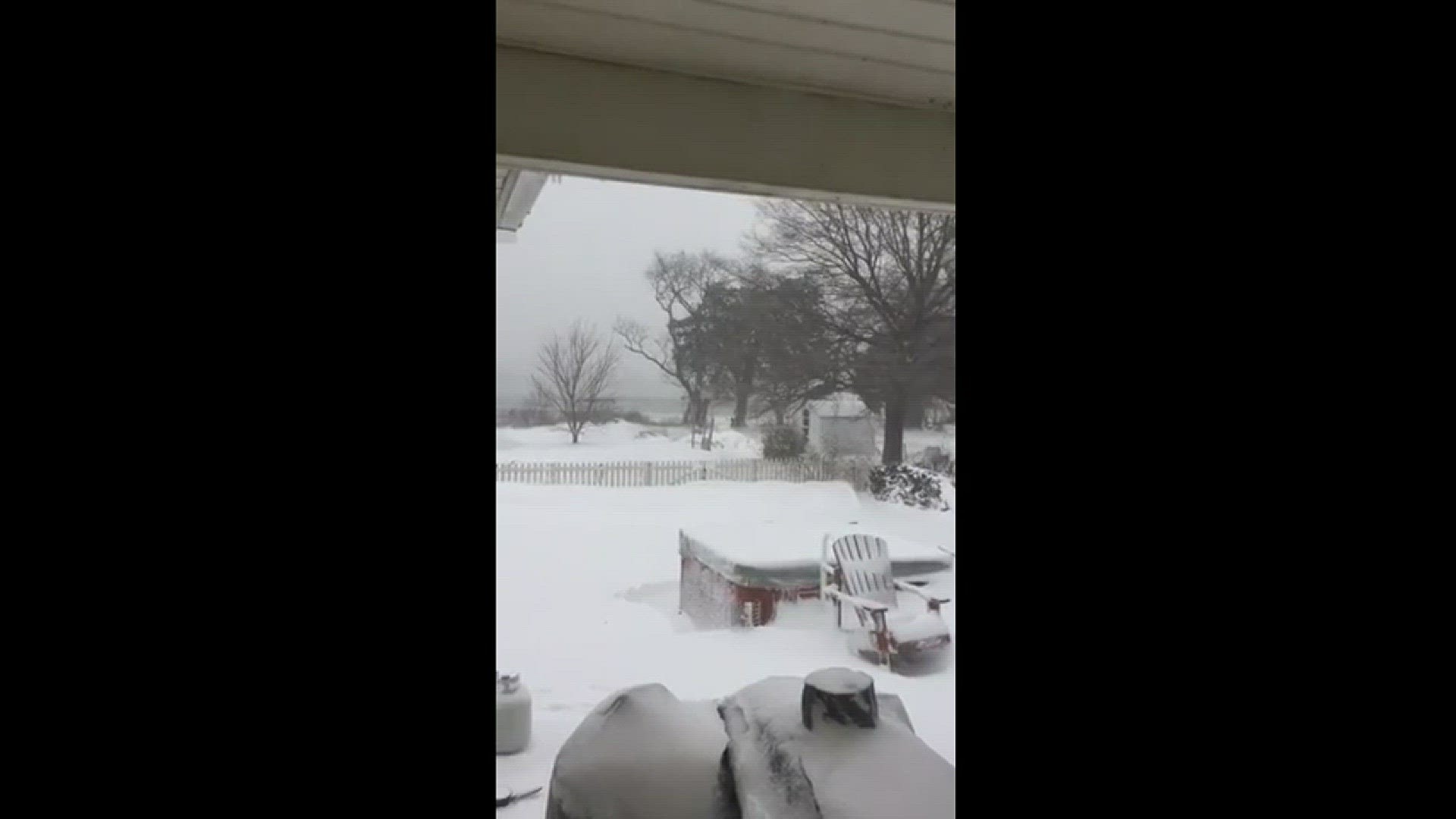 Video of our backyard on Plantation Creek at Custis Tomb, south of Cape Charles. Extreme winds and 8-to-10 inch drifts. Video courtesy Bill Poocher
