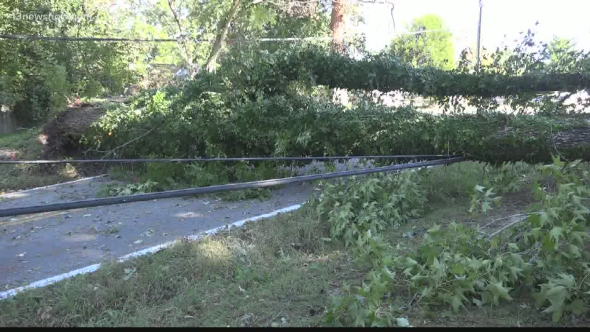 Cleanup is underway across Hampton Roads after Tropical Storm Michael left its mark.