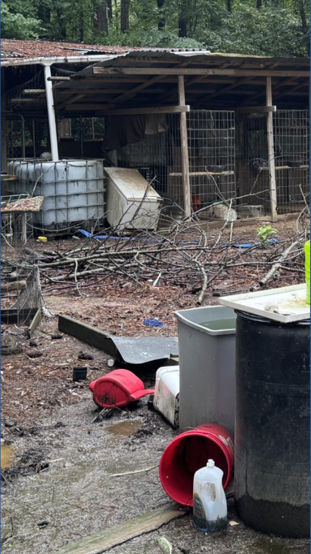 Isle Of Wight Seizes 250 Animals In Cockfighting Probe 13newsnow isle-of-wight-seizes-250-animals-in-cockfighting-probe-13newsnow