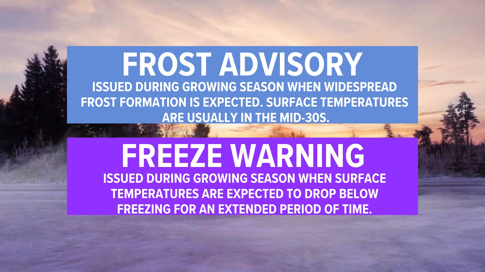 Chief Meteorologist Tim Pandajis explains "frost and freeze alerts," and tells us when we could start seeing them.