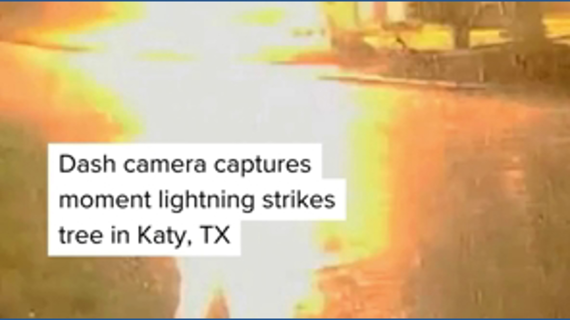 Dash camera captures moment lightning strikes tree in Texas | 13newsnow.com