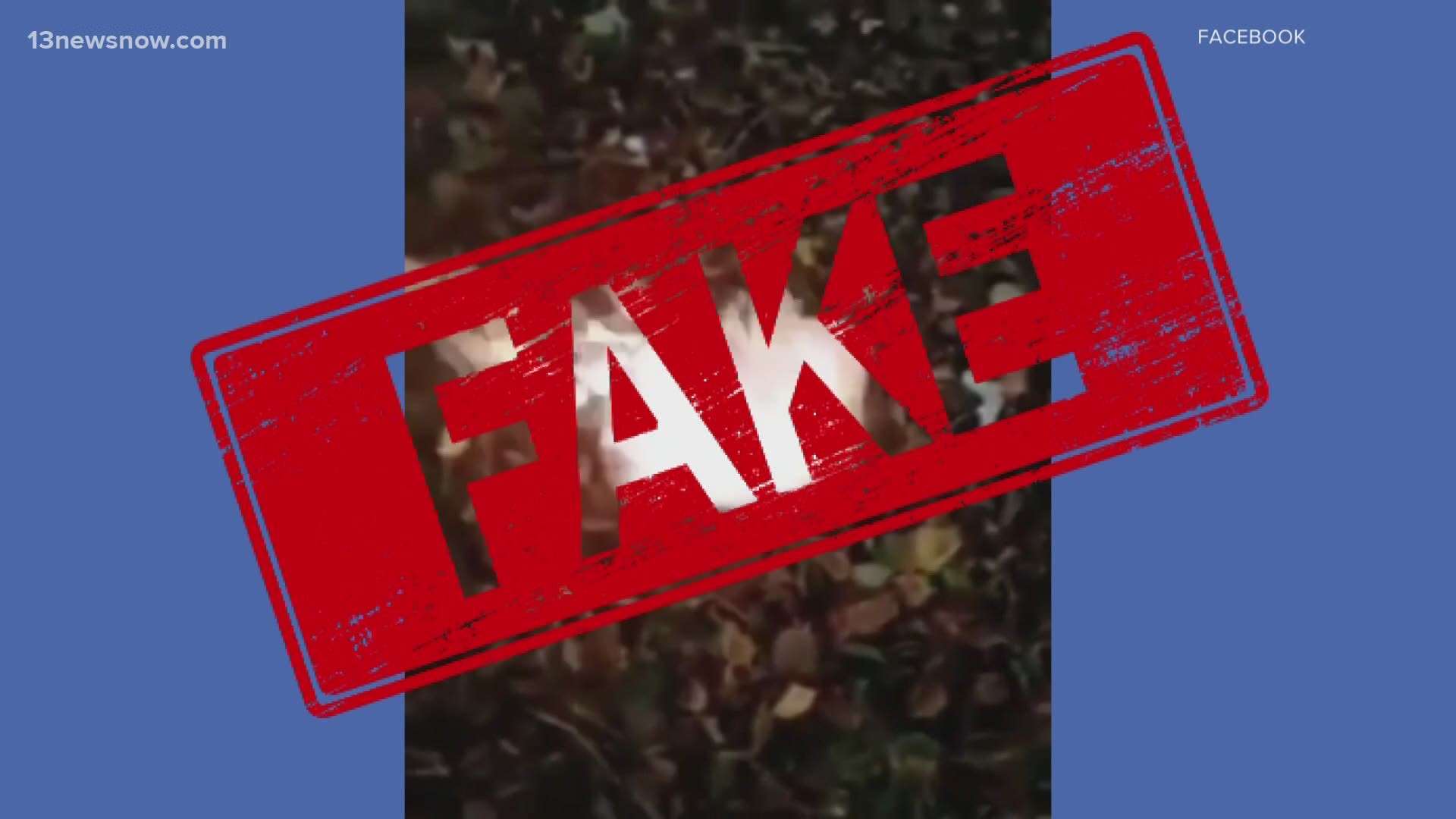An election video that has been making waves on Facebook and Twitter is now being called fake.