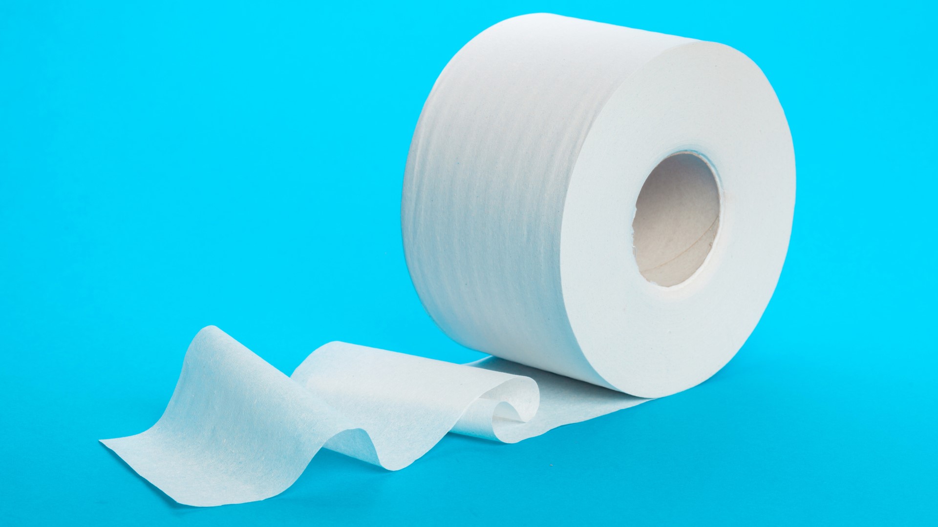 Despite scarcity, officials warn to flush only toilet paper