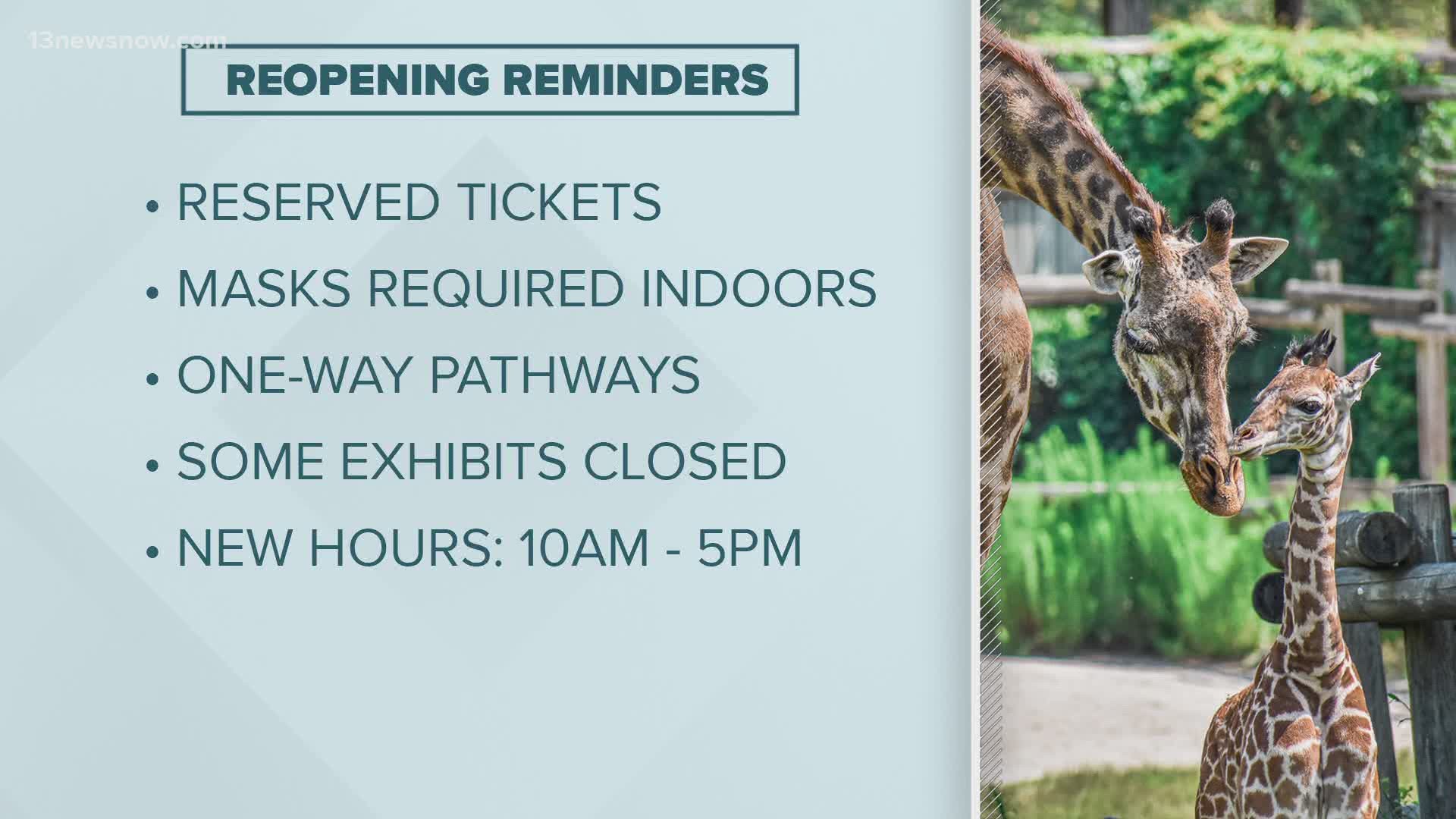 The Virginia Zoo will limit the capacity of people allowed in the park to about 25 percent. Remember: masks are required to be worn by visitors.