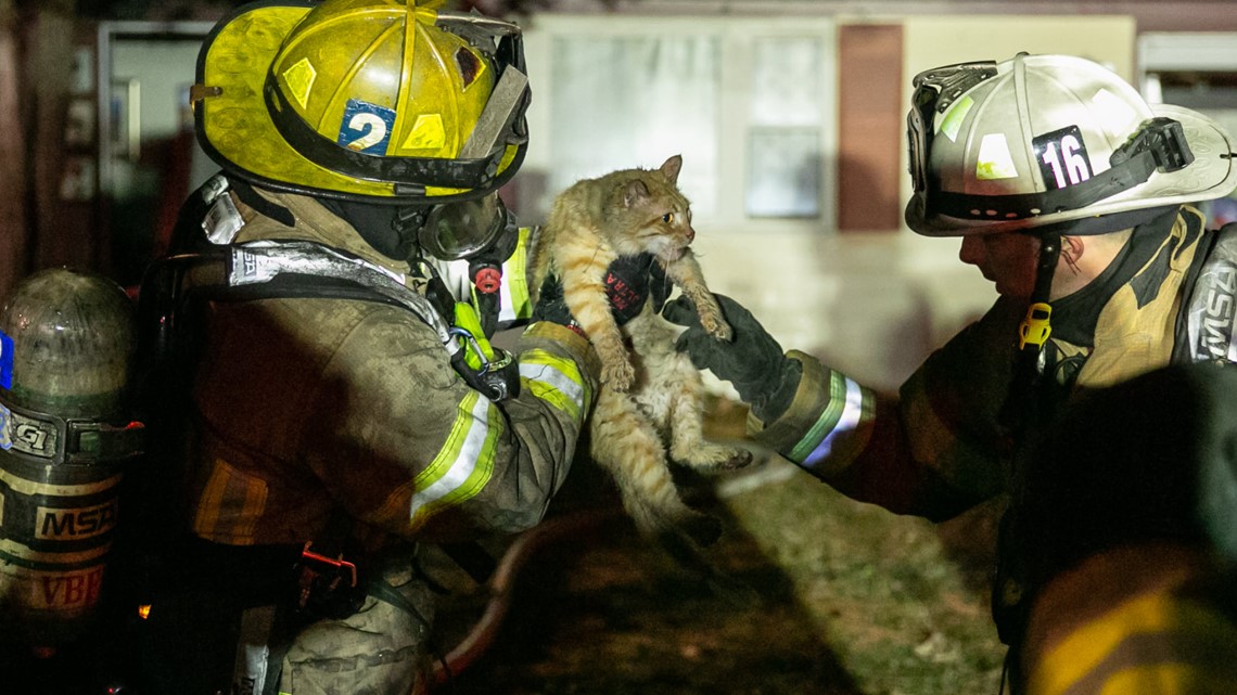 4 People, 17 Pets Displaced In Virginia Beach House Fire 