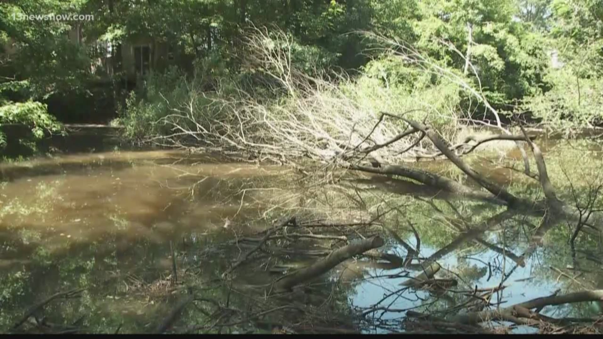 Neighbors in a Virginia Beach neighborhood are fed up over what they call a dirty and disgusting creek!