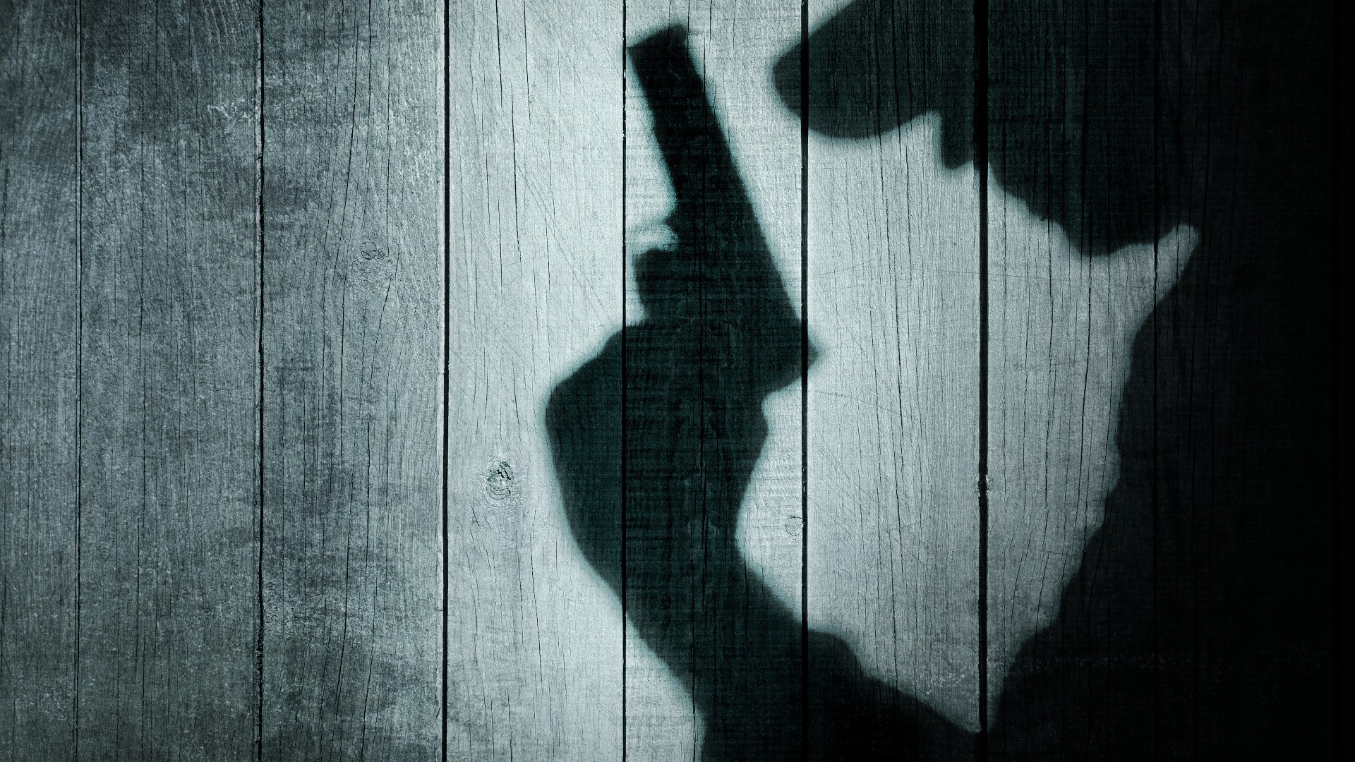 norfolk-police-investigating-norview-area-shooting-13newsnow