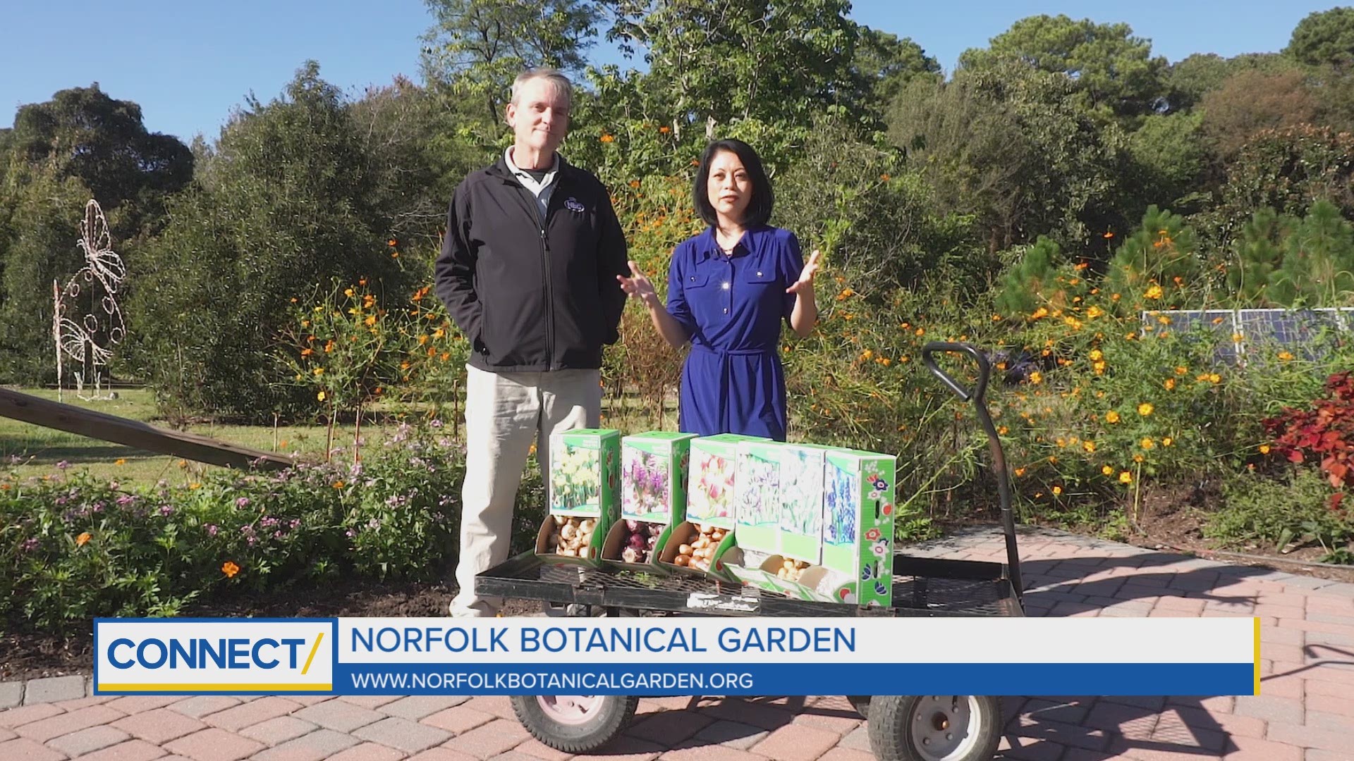 The time to start working your spring flowers is now! Norfolk Botanical Garden gave us time tips, and told us how they're preparing for next spring.