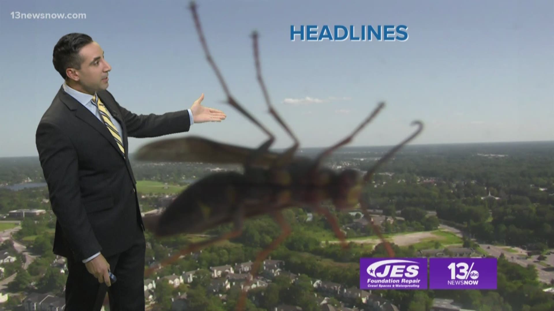 13News Now Weather Forecast with Meteorologist Tim Pandajis was interrupted by a very large wasp on our Skyview Camera. As Tim said, "nasty."