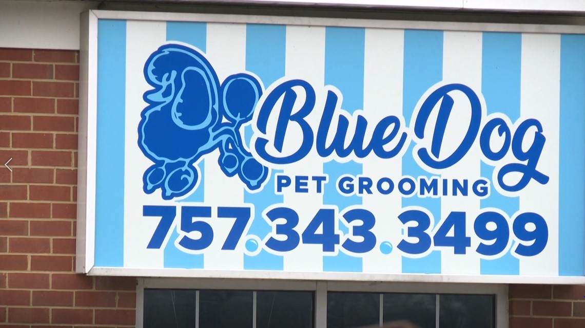 Blue dog sale pet grooming