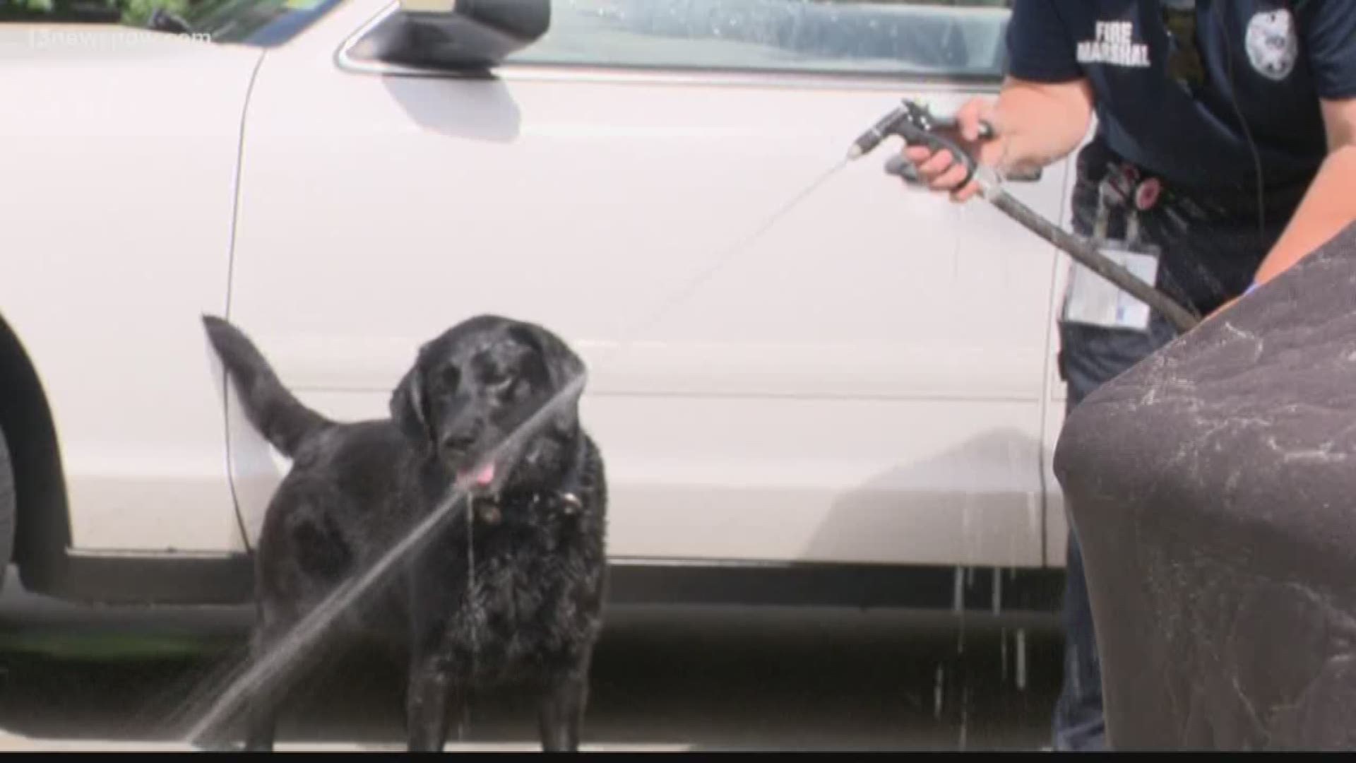 A Virginia Beach Fire Department K9 took her talents to St. Thomas to help crack a case!