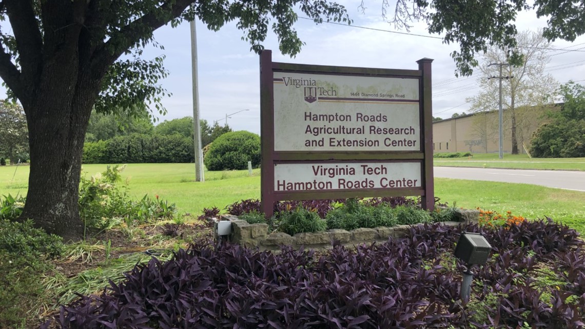 Virginia Tech extension expert shares Hampton Roads ‘buffer’ plants that can fight erosion