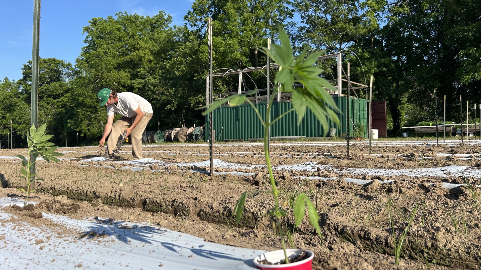 We spent months talking to farmers and following the growth process of the plant, a year after Virginia laws changed the kinds of hemp products available on shelves.
