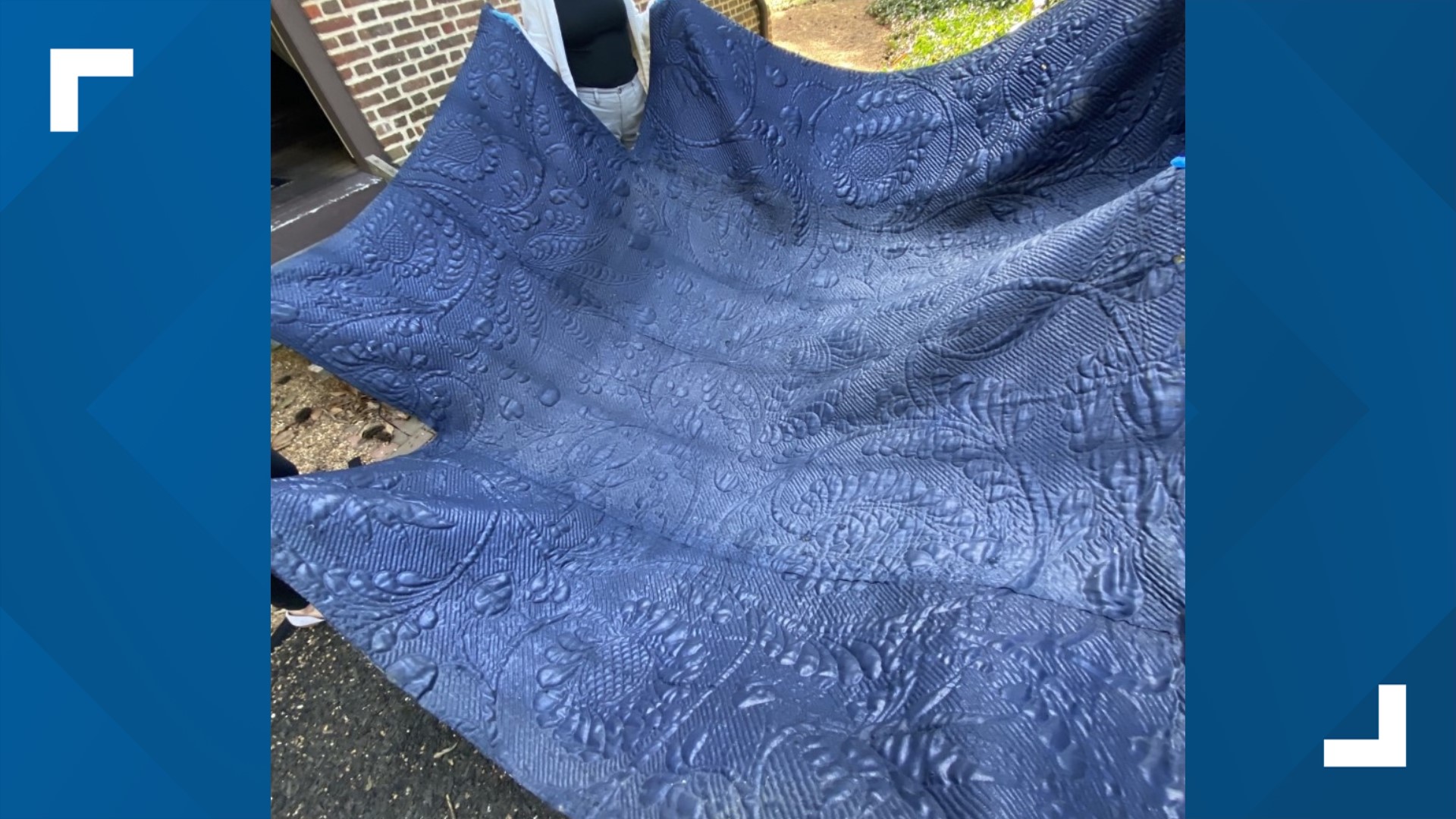 Here's how you can help preserve one of Virginia's most endangered