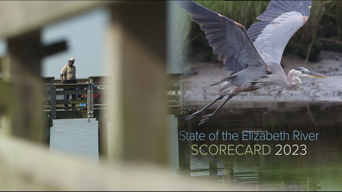 State of the River report card: Elizabeth River scores 'C' grade - Vimarsana News
