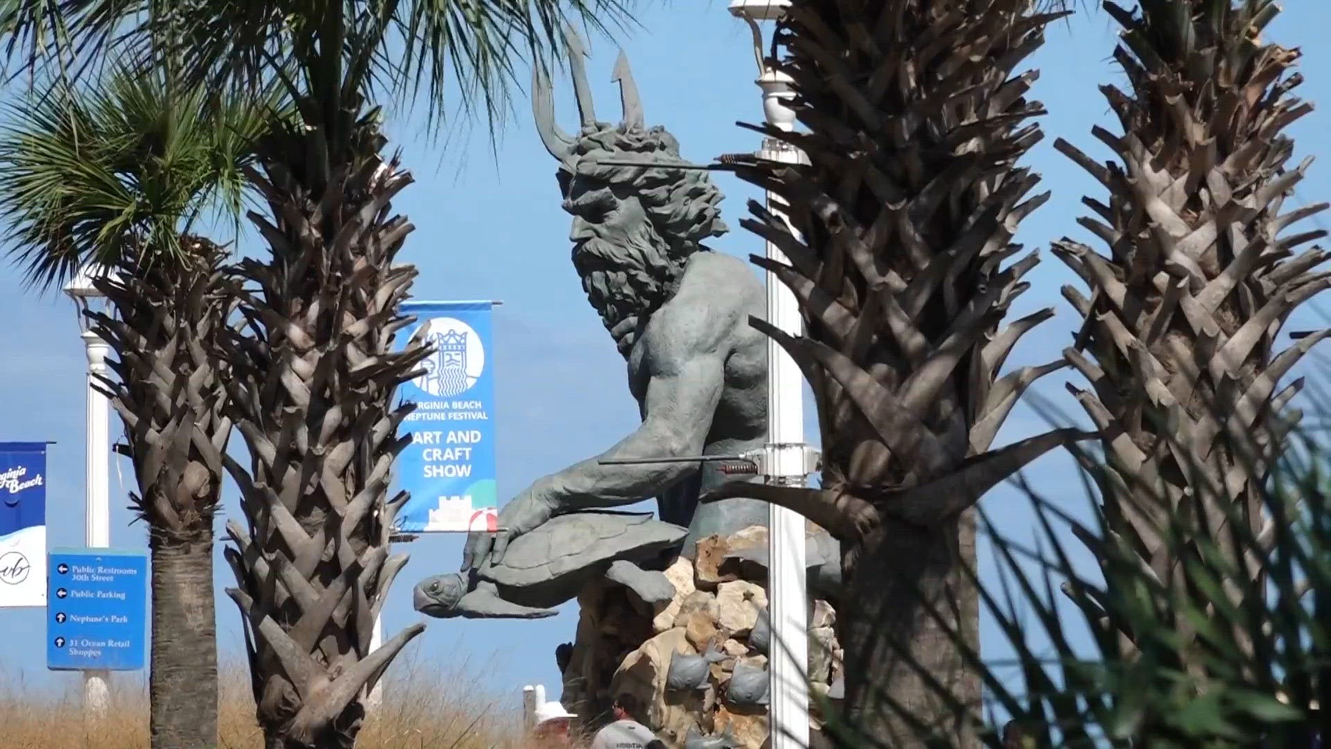 Why Palm Trees are Turning Brown in Virginia Beach