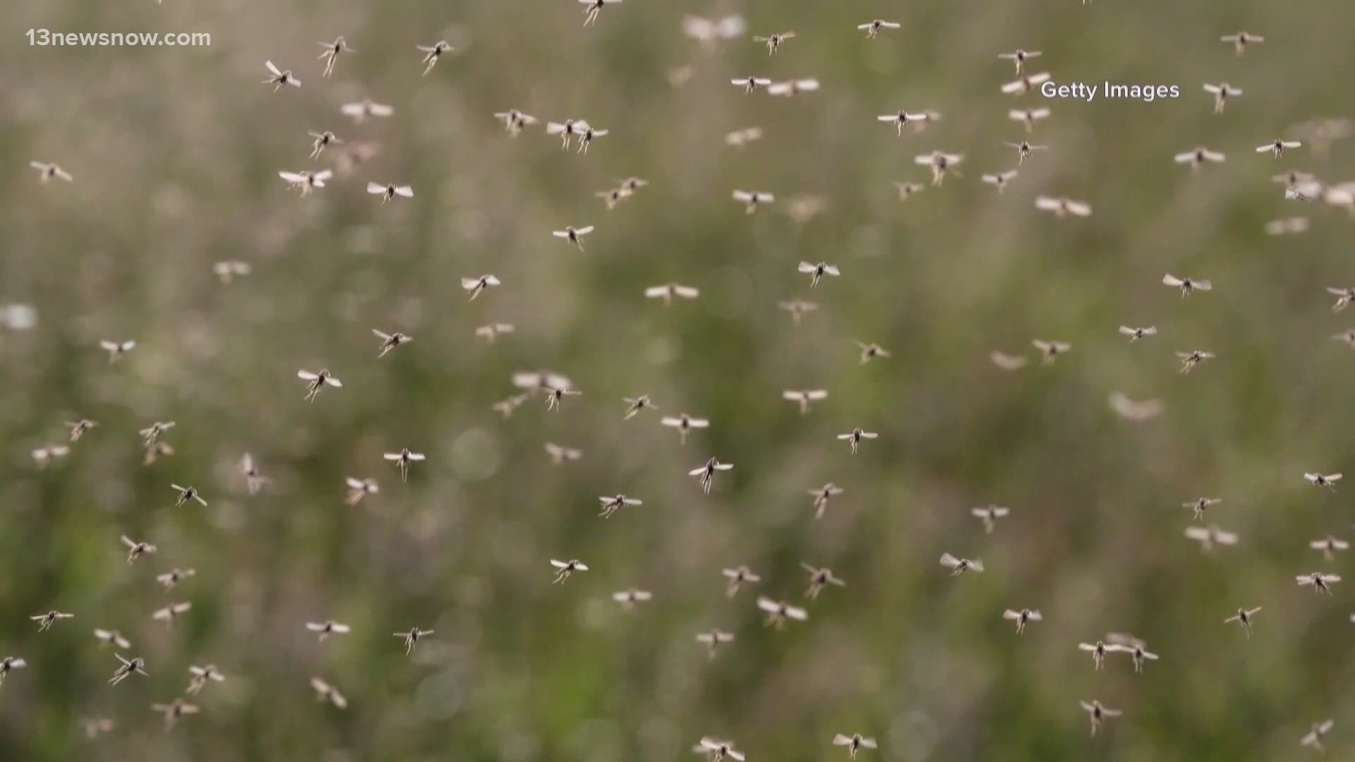 The Chesapeake Health District said residents need to avoid mosquito bites - because they've detected high levels of eastern equine encephalitis (EEE) in local bugs.