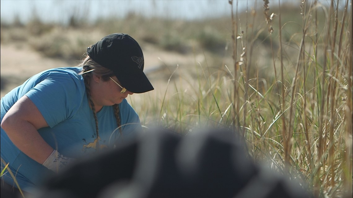 Turning the Tide | Volunteer efforts prove critical in sand dune stabilization on shores of Naval Air Station Oceana - Vimarsana News
