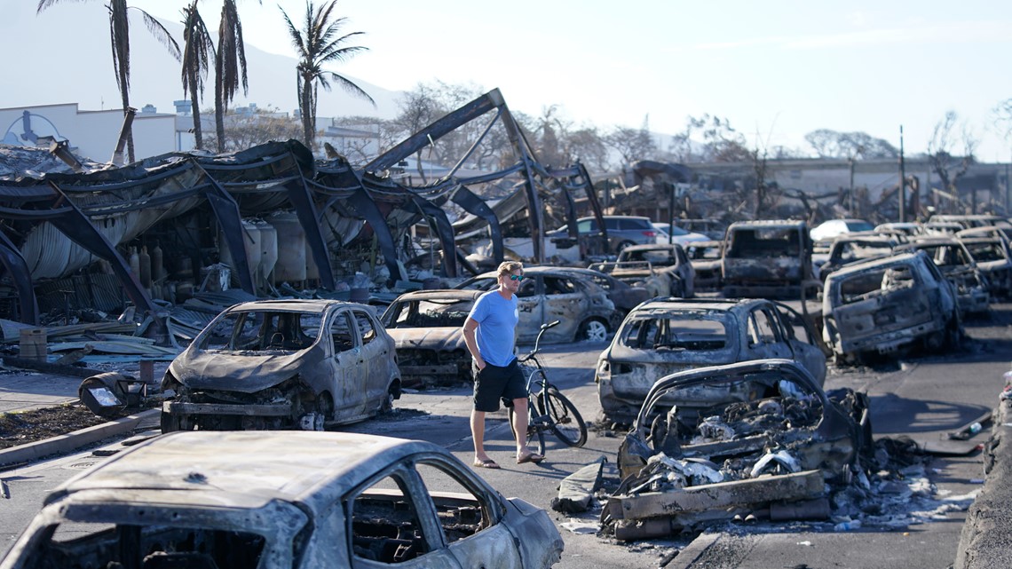 Local organizations join Hawaii wildfire relief efforts - Vimarsana News