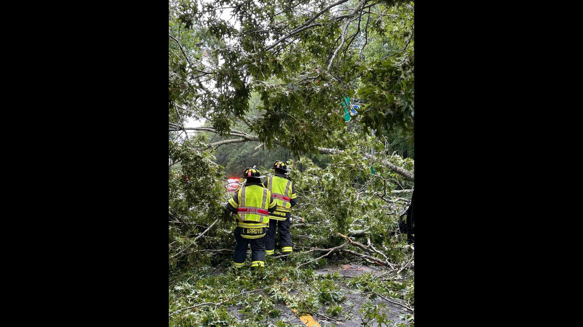 2 people injured by fallen tree in Suffolk | 13newsnow.com