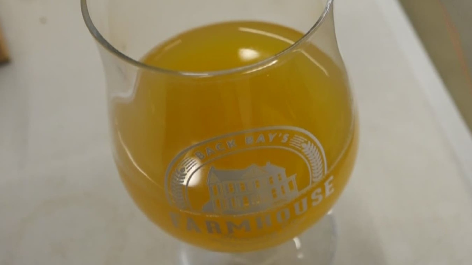 Rachael Peart and Madison Kimbro visited Back Bay's Farmhouse Brewing Co for a cider crash course.