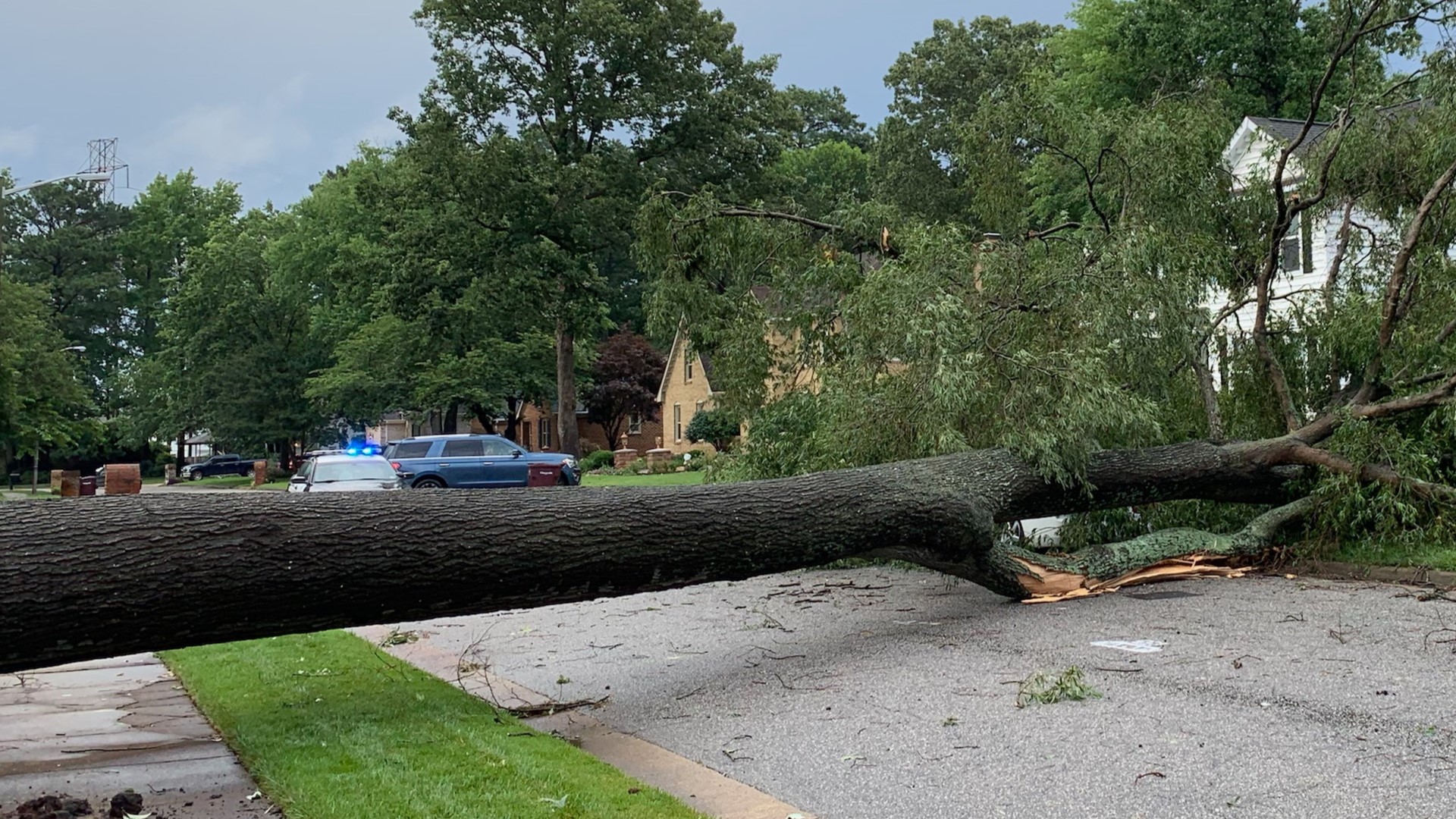 Quick-moving storms bring down trees, knock out power to thousands in ...