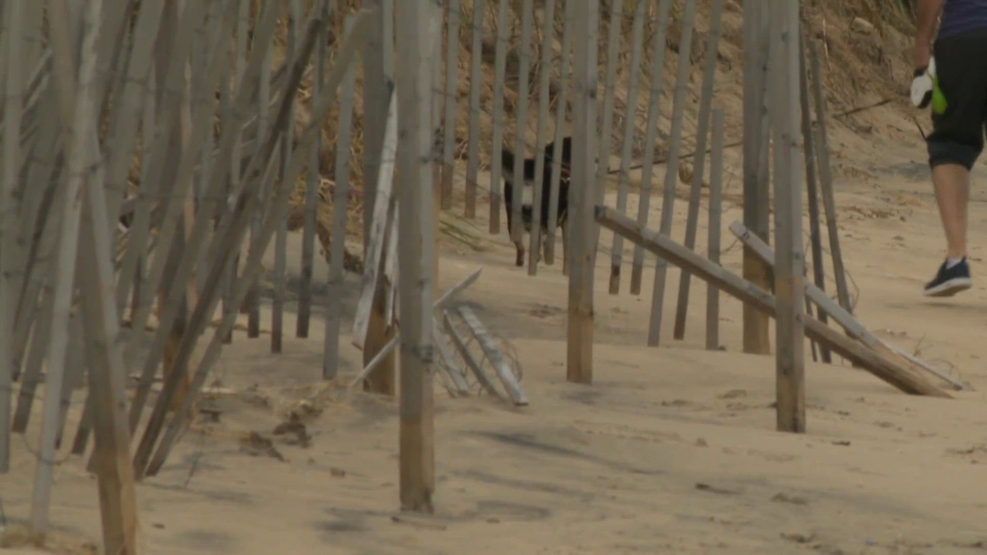 Isaias remnants bring rough surf to coastal areas | 13newsnow.com