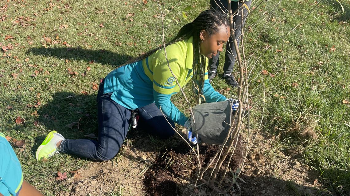 Environmentalists plant dozens of trees at Sleepy Hole Park - Vimarsana News