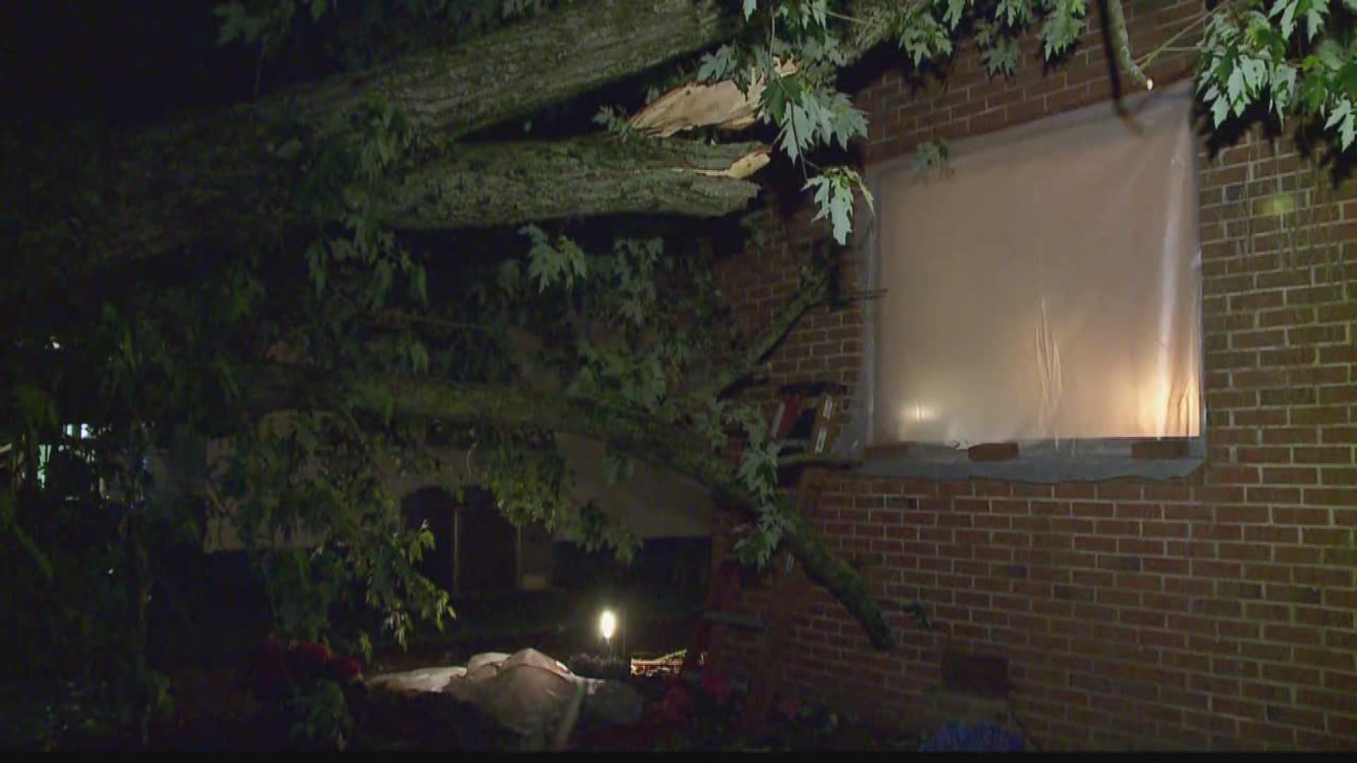 Tree falls through Hampton home during severe storm | 13newsnow.com