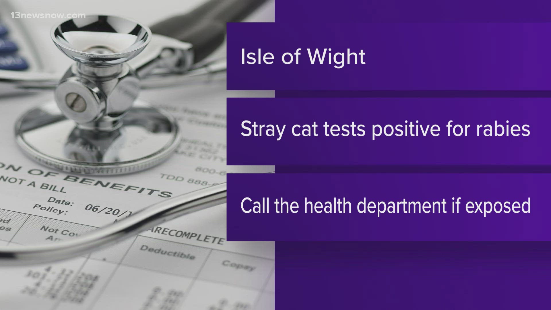 If your pet has been in contact with an animal that might be rabid, authorities urge you to contact animal control or the health department.