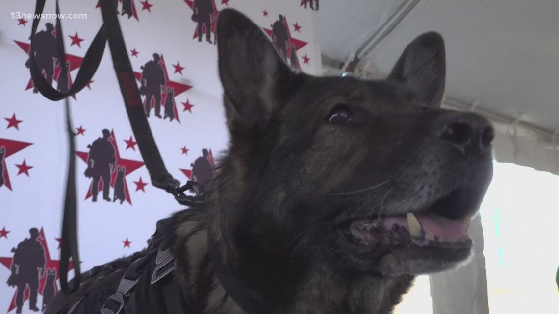 Rowers take on 25-hour challenge in Virginia Beach to honor fallen K9s and fund life-saving gear