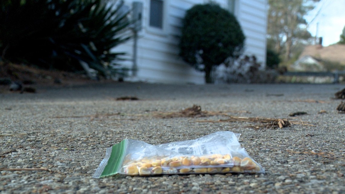 'This is a piece of trash' | Anti-Semitic flyers found in Norfolk neighborhood - Vimarsana News