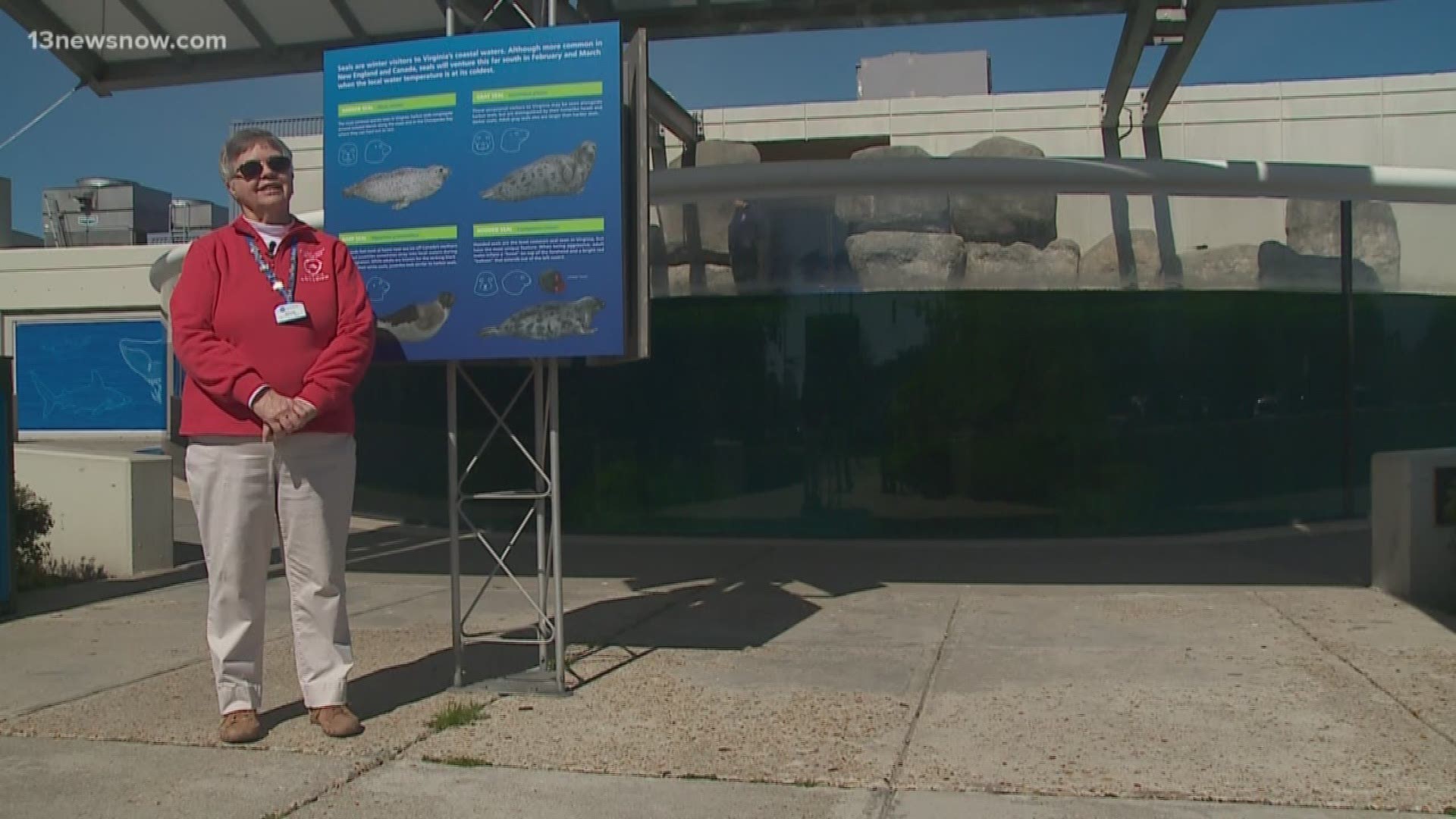 Sandy Wood has racked up thousands of volunteer hours over three decades at The Virginia Aquarium & Marine Science Center.