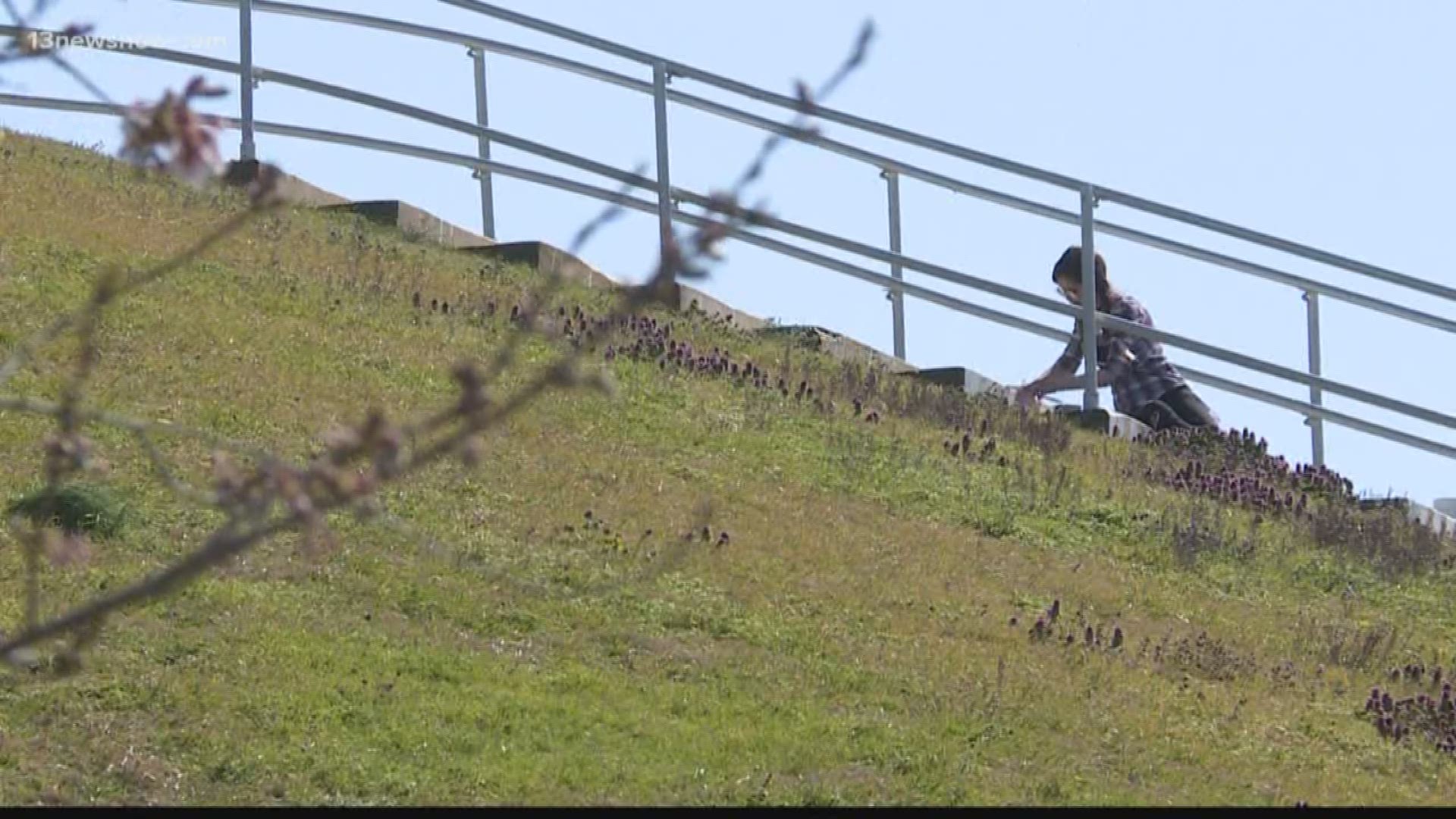 Mural artist takes on Mount Trashmore stairs