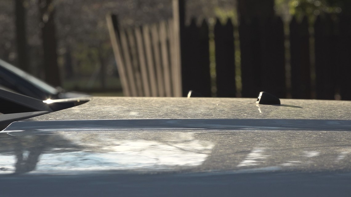 Springtime allergies in high gear for many in Hampton Roads