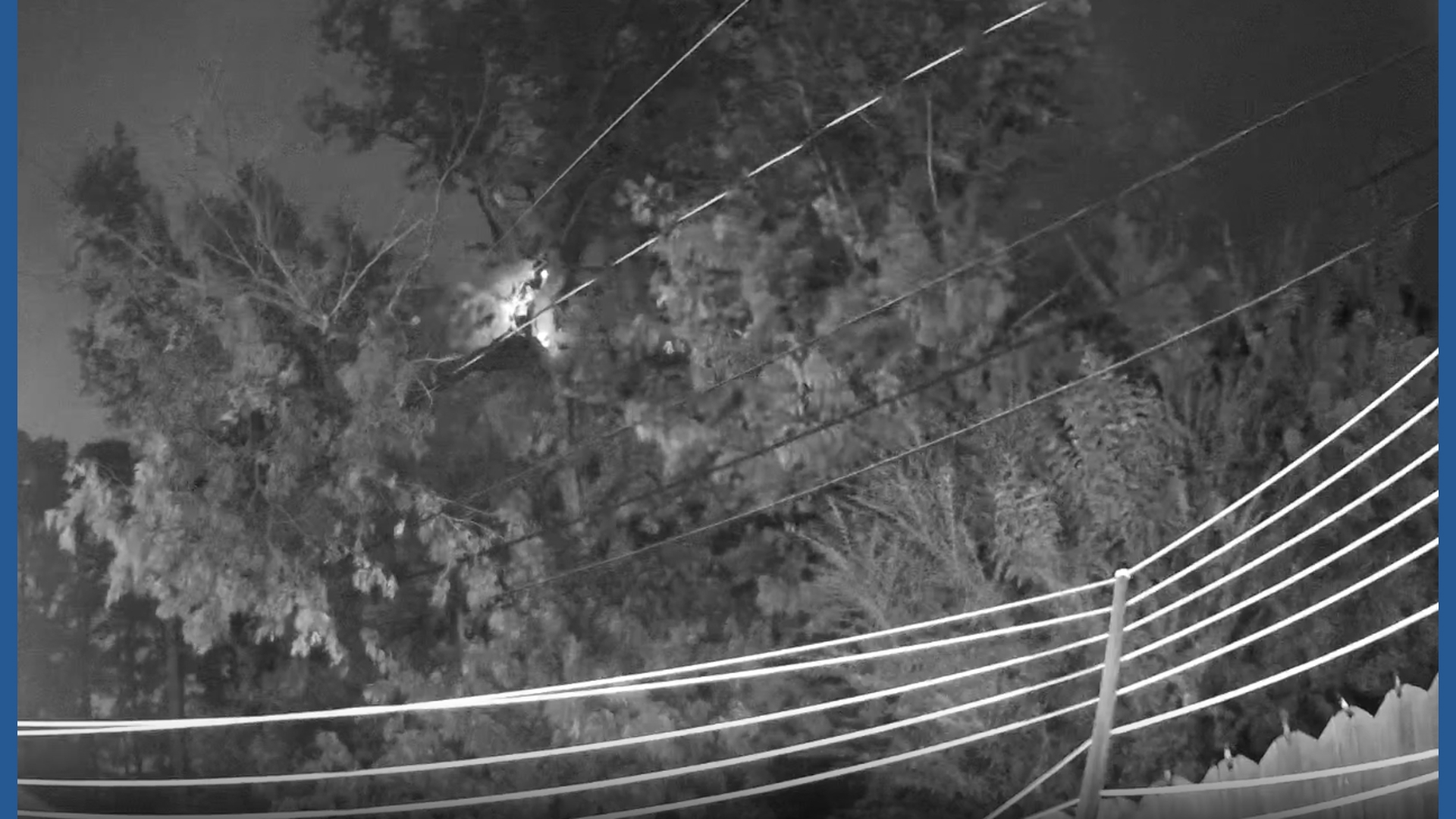 Tree limbs fall on power lines on Cronenberg Way in Virginia Beach ...