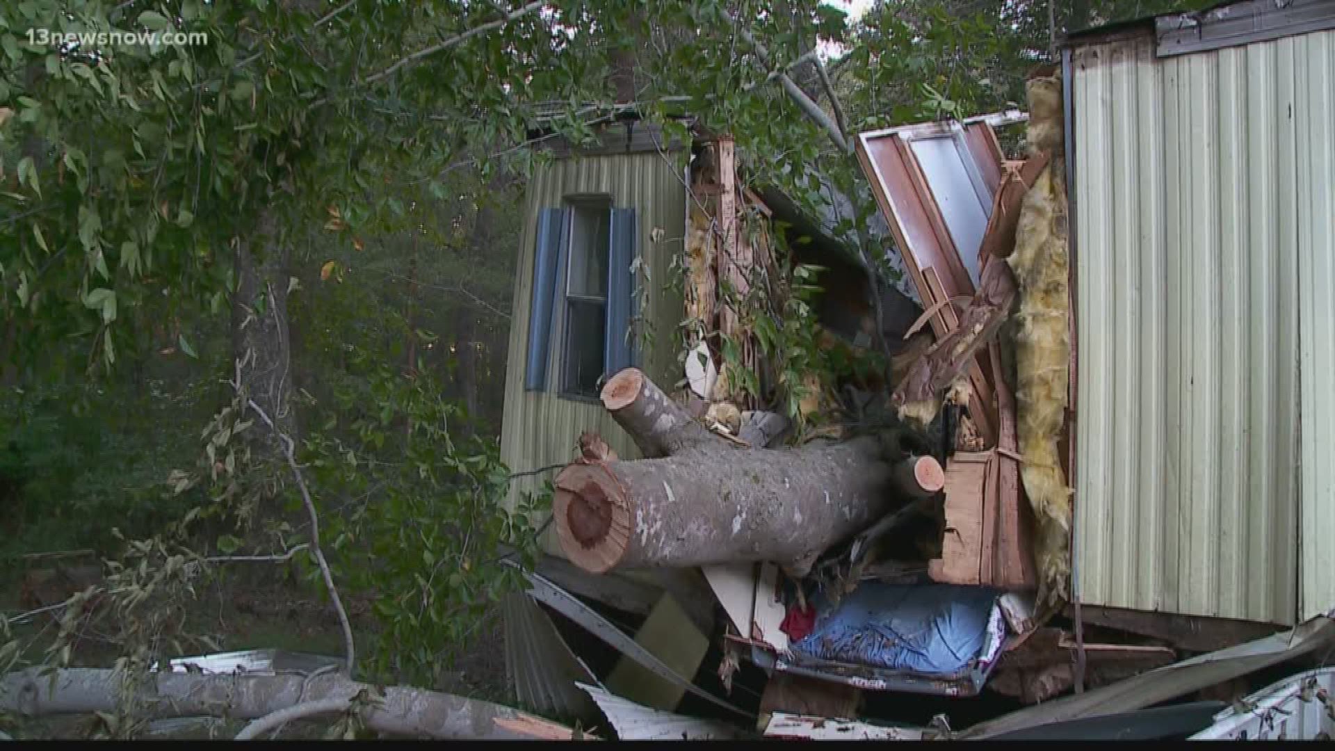 Family loses entire home after tree falls on it during Tropical Storm ...