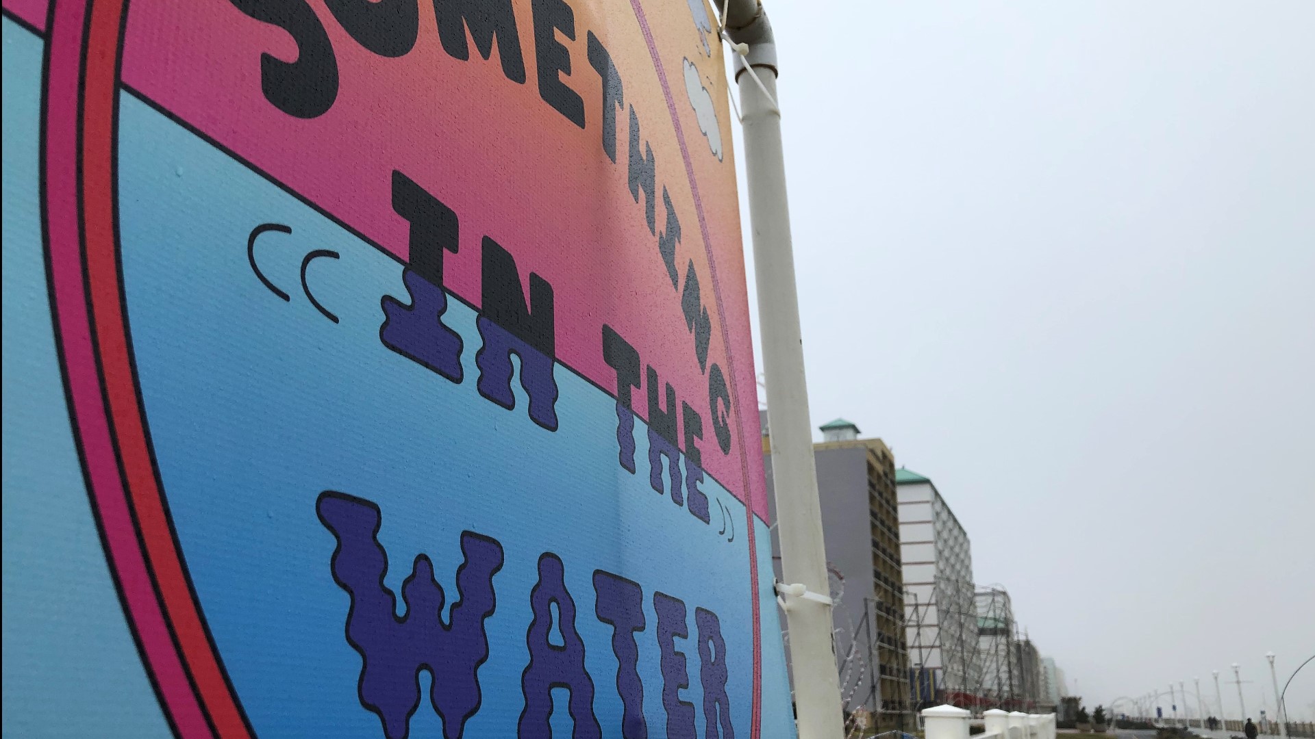 The COVID-19 pandemic has scrapped Pharrell Williams' Something in the Water Festival at the Virginia Beach Oceanfront for the second year in a row.