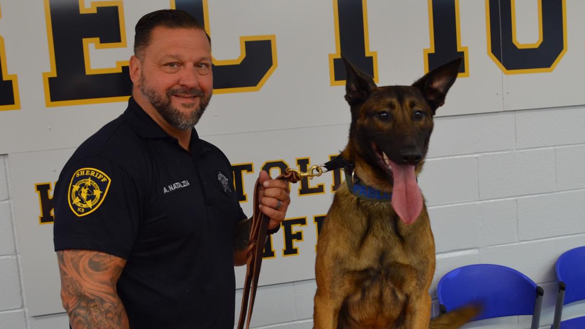 Virginia Beach Sheriff’s Office welcomes new K9 | 13newsnow.com