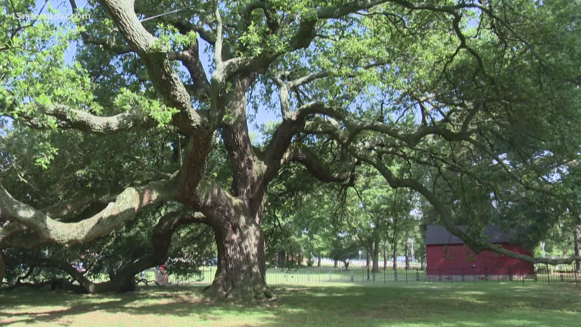 Underserved communities were able to get tested at the Emancipation Oak in Hampton where slaves freed in the 1800s to mark the Juneteenth holiday.